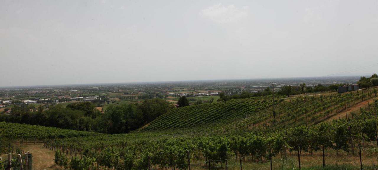 Terrazza San Vettore Camere Con Colazione, Relax In Collina Con Vista Sui Vigneti Docg Asolo Maser エクステリア 写真