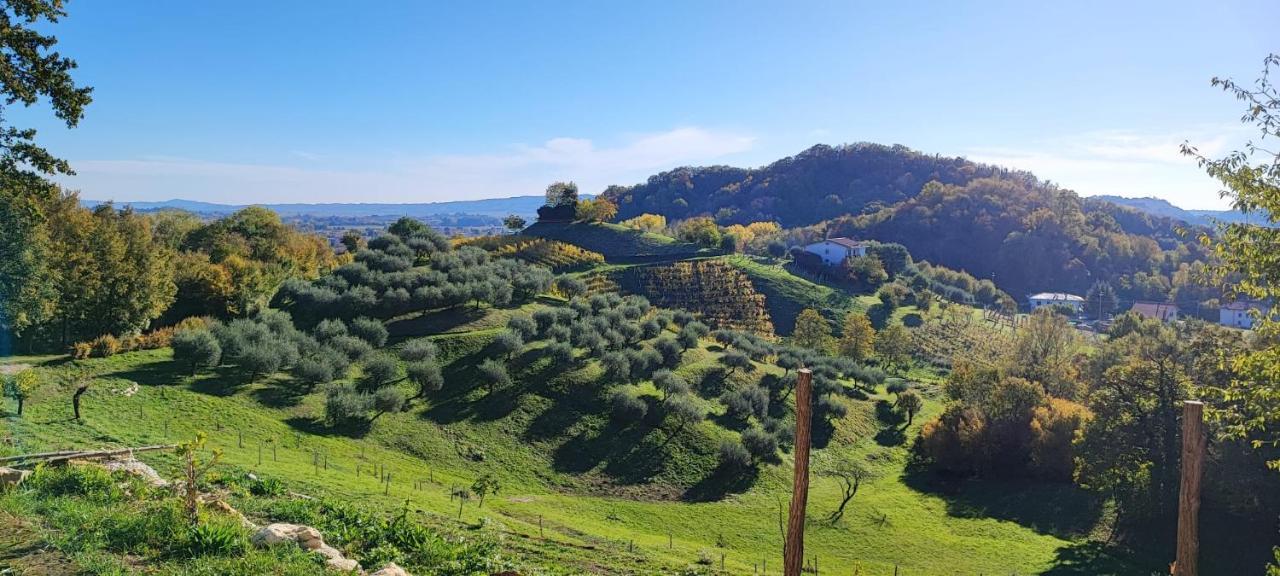 Terrazza San Vettore Camere Con Colazione, Relax In Collina Con Vista Sui Vigneti Docg Asolo Maser エクステリア 写真
